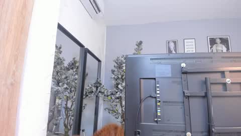 Katerine online show from 01/18/25, 10:28