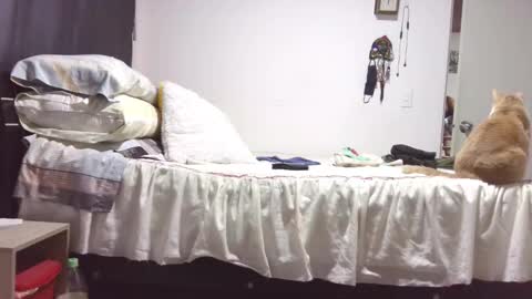  Khawit  online show from 10/29/25, 12:07