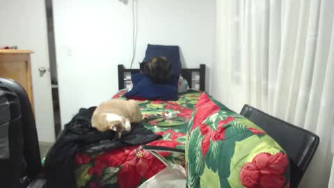  Khawit  online show from 01/10/26, 12:01