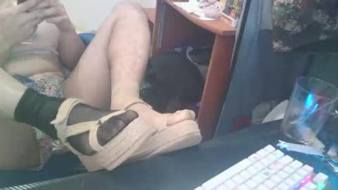 kcitrus online show from 02/24/26, 07:39