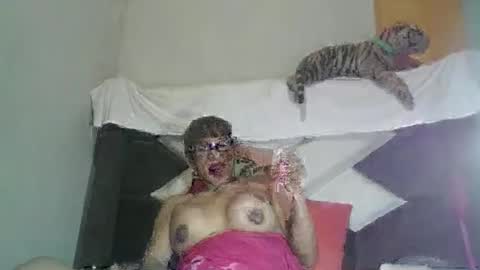 kelly_alisset online show from 03/12/26, 07:25