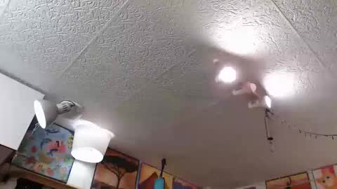 kelly online show from 04/24/26, 02:36