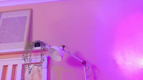   online show from 02/04/26, 09:04