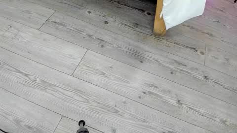 Kendra London online show from 02/24/26, 11:19