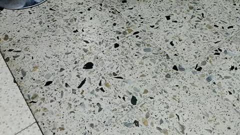 Kendra London online show from 04/10/26, 11:59