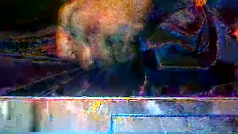 KENDREKO online show from 03/14/26, 09:37