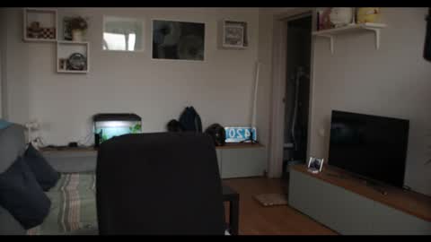 Snapshot of kevin_park chatting on 02/17/25, 12:05 Kev online show from 02/17/25, 12:05