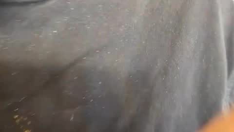 Snapshot of kevinevans448 chatting on 09/09/25, 08:30 kevinevans448 online show from 09/09/25, 08:30