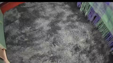 Keyla online show from 04/17/26, 09:29