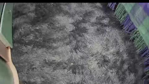 Keyla online show from 04/18/26, 04:22