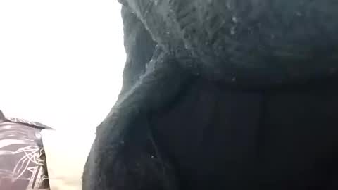 khushisinghh online show from 12/14/24, 02:34