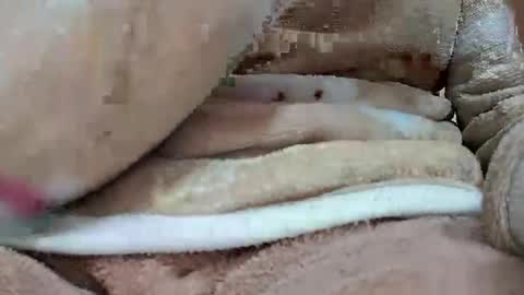 khushisinghh online show from 01/22/25, 04:02