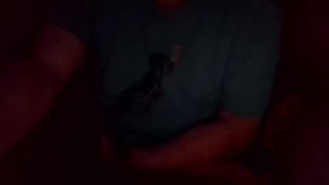 jesse444 cum show online show from 09/20/25, 10:49