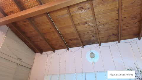    N         M online show from 01/27/25, 11:32