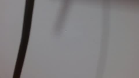 Melody online show from 10/03/25, 12:02