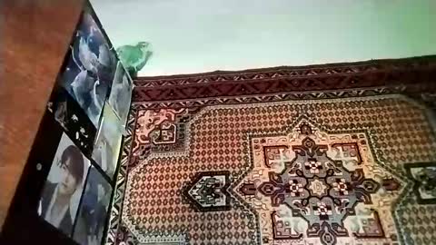 Snapshot of kikibang_ chatting on 11/20/25, 08:14 kikibang_ online show from 11/20/25, 08:14