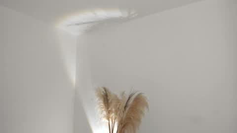 Kim Murphy online show from 04/01/26, 11:11