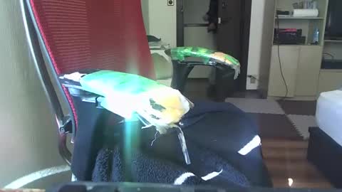 kinchan069 online show from 02/05/25, 02:08