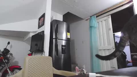 king_russo online show from 01/17/25, 03:12