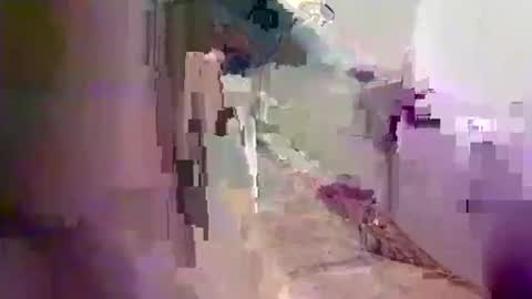 kingdingalingthe online show from 10/15/25, 03:50