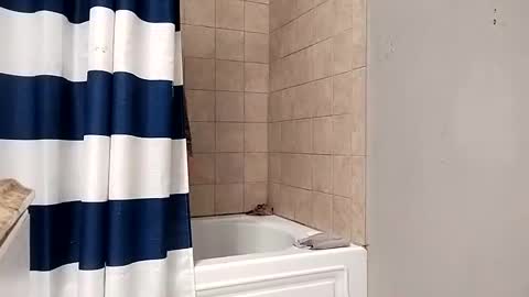 Snapshot of kingdongkonglong chatting on 01/21/25, 05:05 kingdongkonglong online show from 01/21/25, 05:05