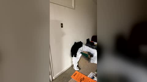 kingecstasyxxxddd online show from 01/16/26, 08:51