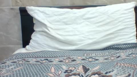 kingjordan122 online show from 01/30/25, 07:15