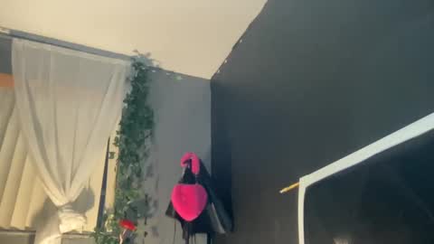 Bunniii online show from 01/02/25, 11:41