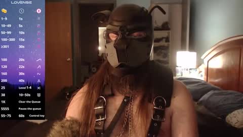 kinkywolf87 online show from 12/09/24, 08:00