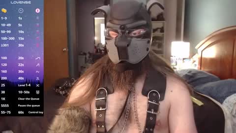 kinkywolf87 online show from 12/21/24, 06:23