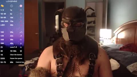 kinkywolf87 online show from 02/14/25, 05:51