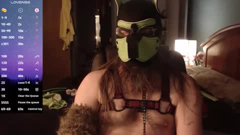 kinkywolf87 online show from 02/07/26, 06:39