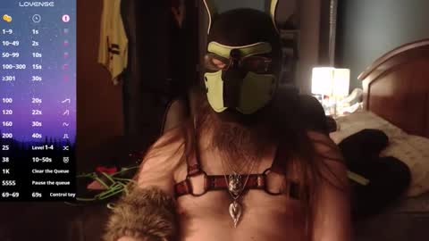 kinkywolf87 online show from 04/09/26, 07:03