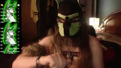 kinkywolf87 online show from 07/12/26, 02:13
