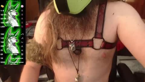 kinkywolf87 online show from 07/19/26, 08:45