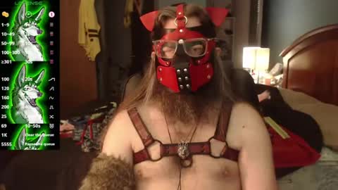 kinkywolf87 online show from 07/22/26, 04:54