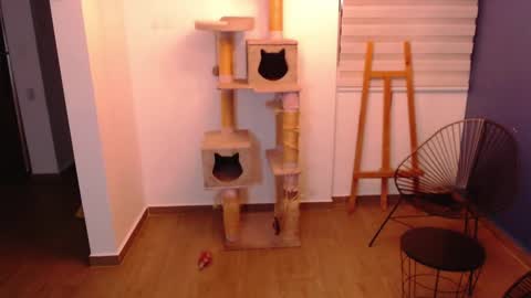 Snapshot of kintsugim chatting on 11/07/25, 04:01 kintsugi online show from 11/07/25, 04:01