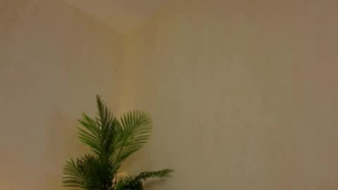 Snapshot of kirabesser chatting on 02/27/26, 10:15 kirabesser online show from 02/27/26, 10:15