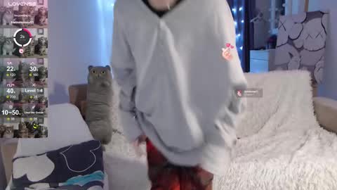 Kisi online show from 12/05/24, 11:29