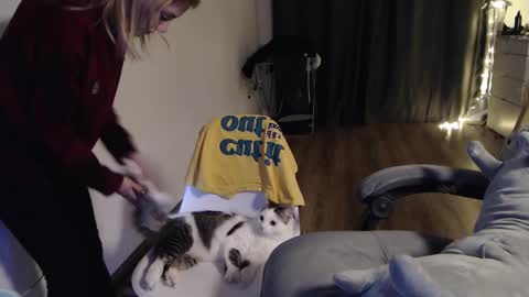 Kisi online show from 01/30/25, 06:43