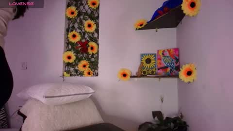 Helena and Brad online show from 02/19/26, 03:02