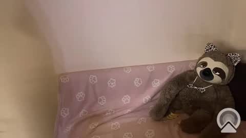 Snapshot of kitiket1 chatting on 02/11/25, 05:40 kitiket1 online show from 02/11/25, 05:40