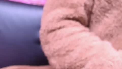 Snapshot of kitty_malach chatting on 10/23/25, 02:22 Kitty online show from 10/23/25, 02:22