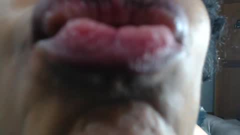 Snapshot of kitty_pervertedx chatting on 01/23/25, 03:48 kitty online show from 01/23/25, 03:48