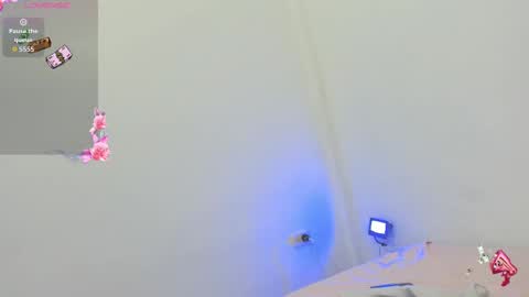 Snapshot of kitty_pervertedx chatting on 10/08/25, 09:23 kitty online show from 10/08/25, 09:23