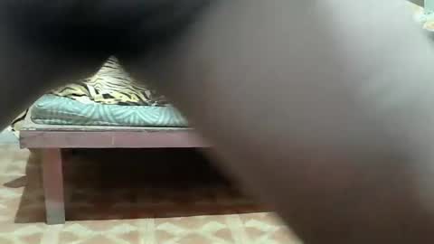 Kitty online show from 03/25/26, 10:49