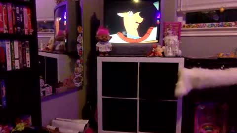 kittykatcoco online show from 11/11/25, 04:23