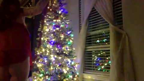 kittykatcoco online show from 11/19/25, 05:18