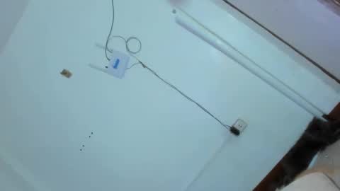 Snapshot of kittylickerfucker69 chatting on 02/25/25, 02:47 Grace online show from 02/25/25, 02:47