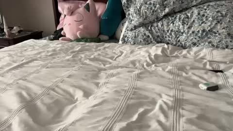 kittypurr79 online show from 01/12/25, 12:07